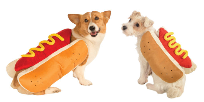 Dog Dressed As Hot Dog