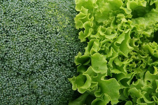 Broccoli, Salad, Green, Culinary, Food