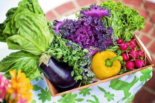 Vegetables, Garden, Harvest, Organic