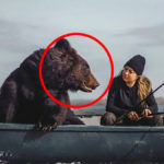 O melhor amigo desta mulher é um urso - mas, certo dia, o urso faz algo inesperado