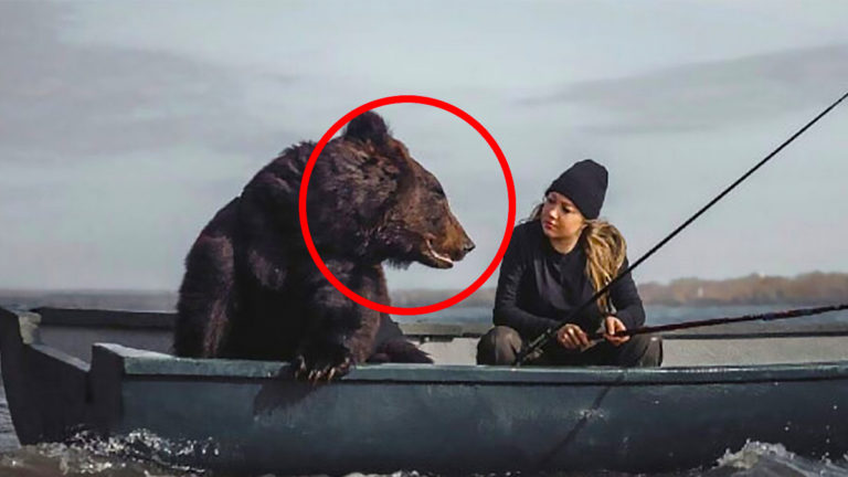 O melhor amigo desta mulher é um urso – mas, certo dia, o urso faz algo inesperado