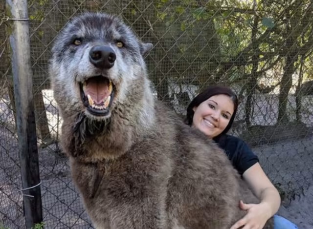 Mujer abrazando por la espalda a un enorme perro