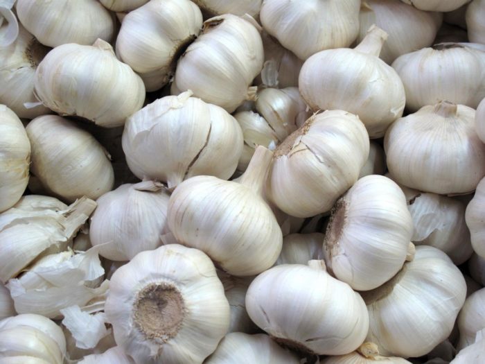 Garlic, FREE Stock Photo, Image, Picture: Garlics, Royalty-Free Vegetable Stock Photography
