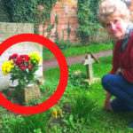 Une femme a trouvé des fleurs sur la tombe de son mari. Un mot à l'intérieur d'un bouquet l'a choqué...