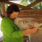 這個女人和驢子成了朋友 - 但她一擁抱驢子，就得到這樣的反應