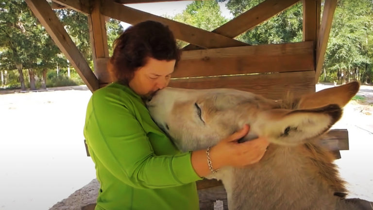 這個女人和驢子成了朋友 – 但她一擁抱驢子，就得到這樣的反應