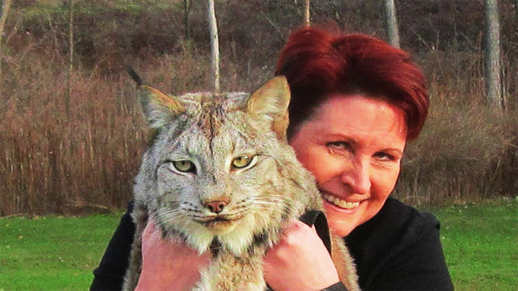 woman and wild cat