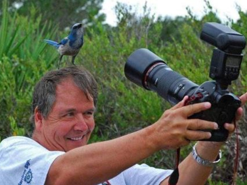 Bird on photographers head