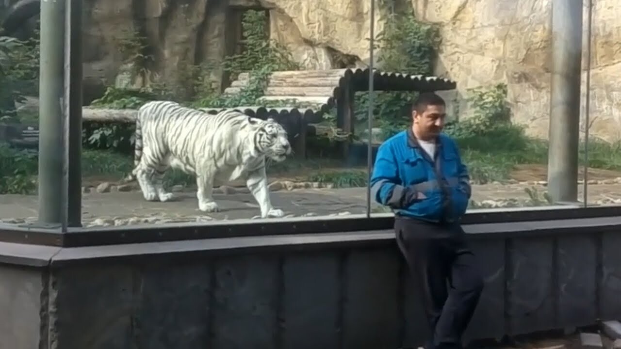 Guy standing in Zoo