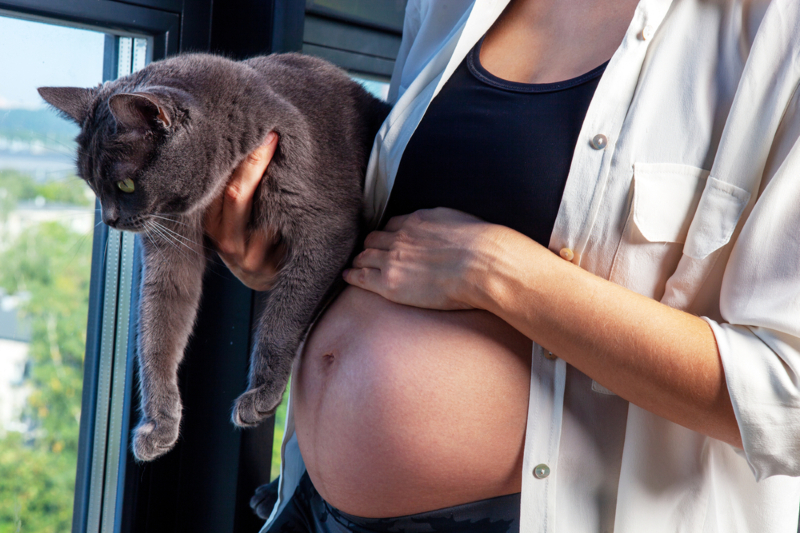 pregnant woman and cat
