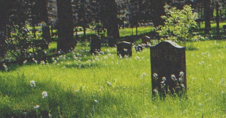 森の中で偶然見つけた墓石に、自分の幼い頃の写真が写っていた男性 – 今日のお話