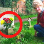 Virágot talált egy nő a férje sírjánál - egy csokorban lévő üzenet döbbentette meg