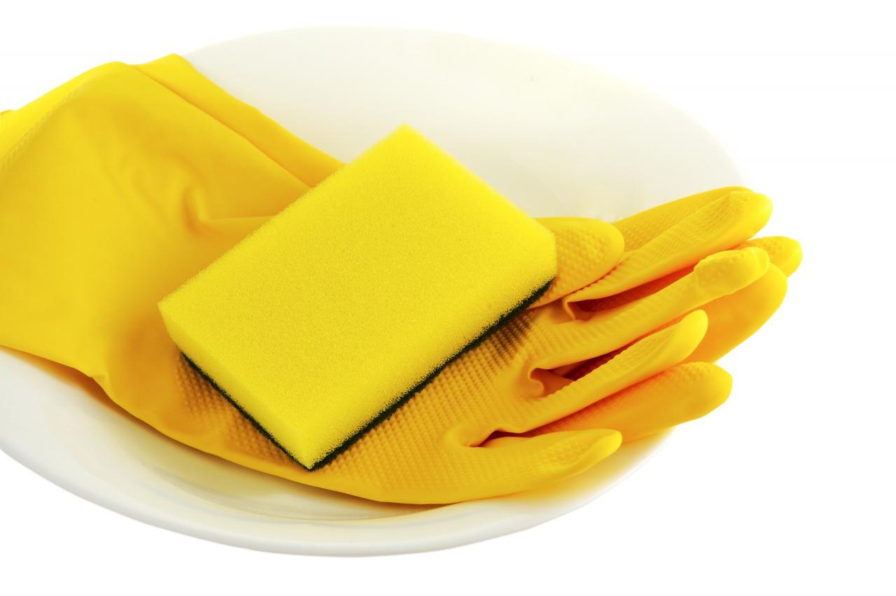 gloves and sponge